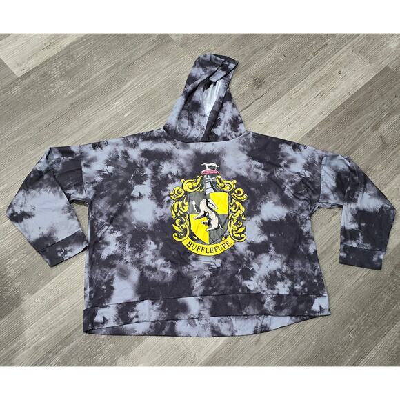 Harry Potter Wizarding World Hogwarts House Kangaroo Hooded Sweater & Pants Set - Picture 4 of 16